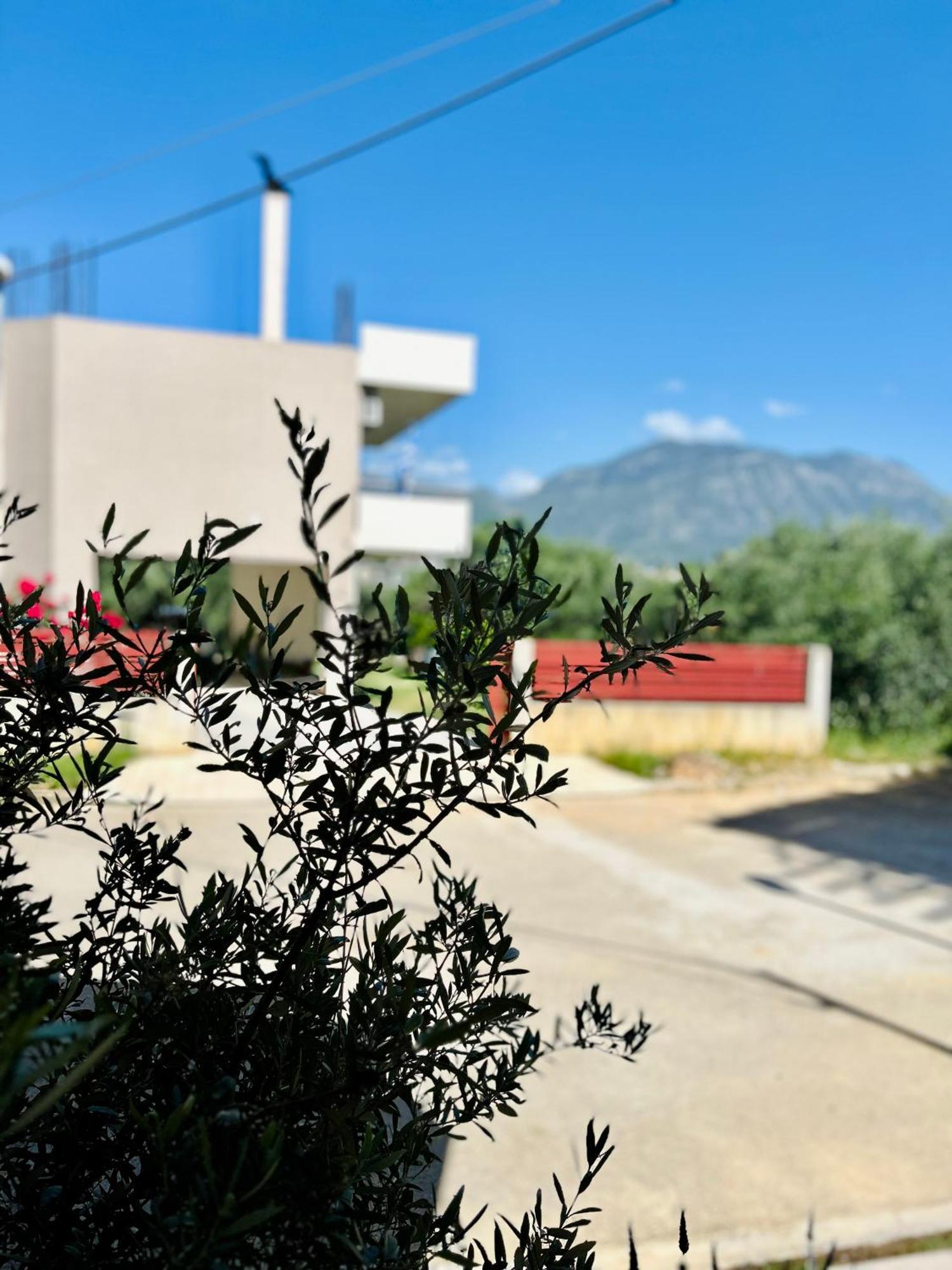 Feel At Home - Kalamata - Near The Center 外观 照片